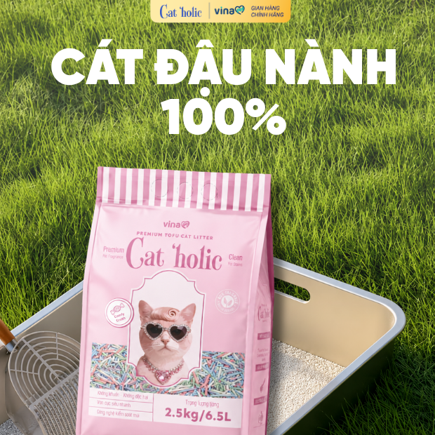Cat'holic Đậu Nành 100% Candy Crush