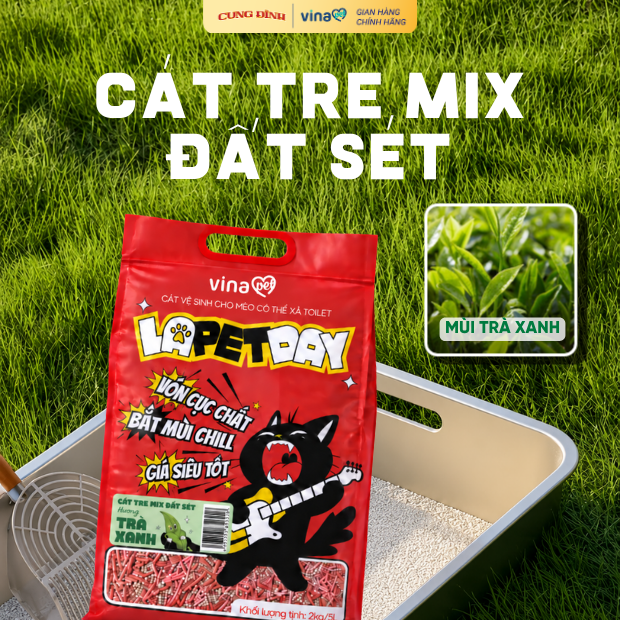 Catchy Túi Lớn Tiết Kiệm