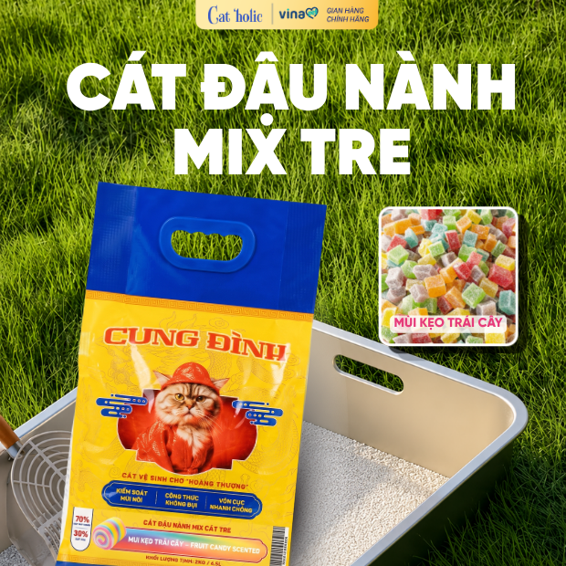Cung Đinh Xanh Đậu nành mix Tre