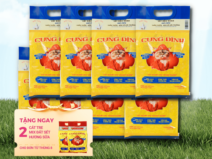 Combo 8 túi Cung Đình Đậu nành mix đất sét